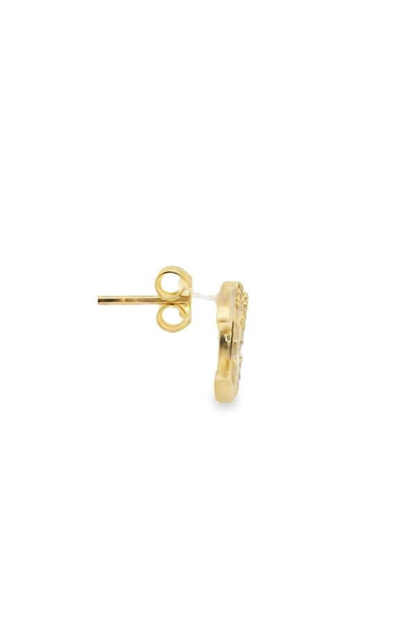 Cigold Taşlı Küpe 14 Ayar Altın 2.39 Gr OA-C1TB101029278